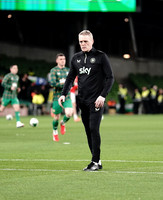 UEFA Nations League B Play-Offs Republic of Ireland v Bulgaria  001A
