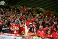 Linfield FC vs Shelbourne FC-17