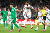 Ireland v Hungary (9 of 62)