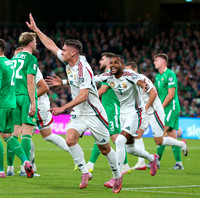 Ireland v Hungary (16 of 62)