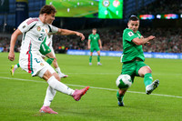 Ireland v Hungary (11 of 62)