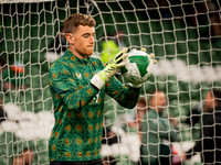 Ireland vs Hiungary (3 of 106)