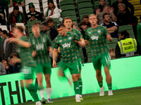 Ireland vs Hiungary (10 of 106)