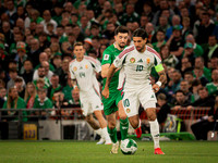 Ireland vs Hiungary (19 of 106)