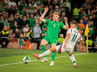 Ireland vs Hiungary (36 of 106)