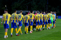 UCD v Longford (3 of 45)