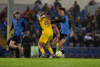 UCD AFC v Kerry FC Belfield Bowl 19 Sept 2025 No 19