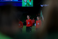 Republic of Ireland vs Belgium-12