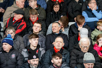 Bohemian FC v Shelbourne FC 41