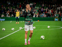 Ireland vs Portugal - World Cup Qualifier (5 of 111)