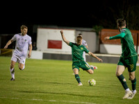 St Patrick's Athletic vs UCD (2 of 23)
