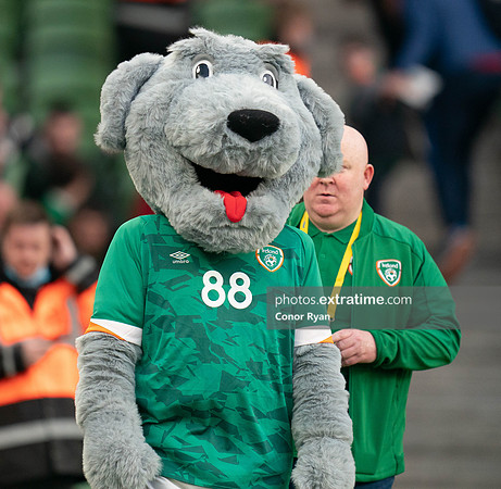 ROI v Lithuania-25
