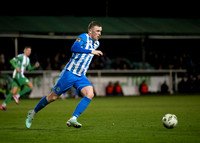 Bray v Finn Harps 11 Oct 2024 No 11