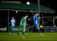 Bray v Finn Harps 11 Oct 2024 No 21