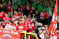 Linfield FC vs Shelbourne FC-8