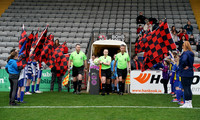 Bohemian FC v Wexford FC 085