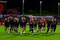 Tallaght Stadium (17 of 72)