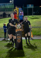 UCD v Wexford 8 March 2024 Belfield No 5