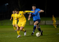 UCD v Wexford 8 March 2024 Belfield No 10