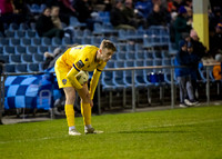 UCD v Wexford 8 March 2024 Belfield No 9