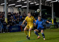 UCD v Wexford 8 March 2024 Belfield No 7