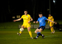 UCD v Wexford 8 March 2024 Belfield No 8