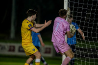 UCD v Wexford 8 March 2024 Belfield No 27