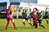 Peamount United v Treaty United (6 of 56)