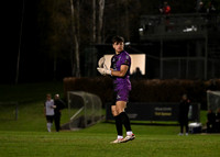 UCD v Dundalk No 15