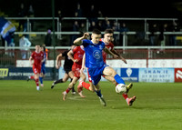 Shelbourne v Waterford 18 Oct 24 Tolka Park No 1