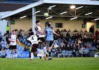 UCD v Dundalk No 11