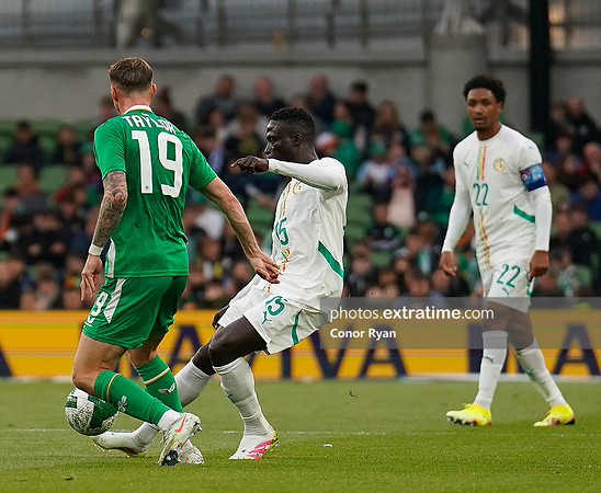Republic of Ireland v Senegal-46