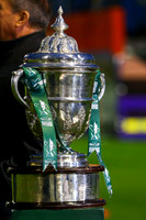 Tallaght Stadium (11 of 72)