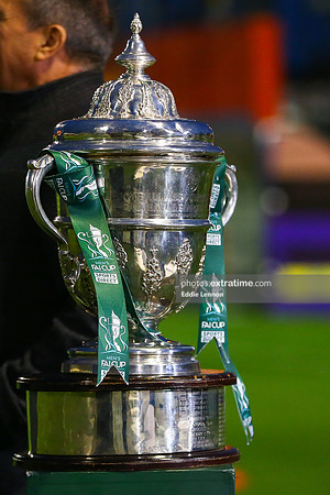 Tallaght Stadium (11 of 72)