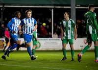 Bray v Finnn Harps 11 Oct 2024 No 6